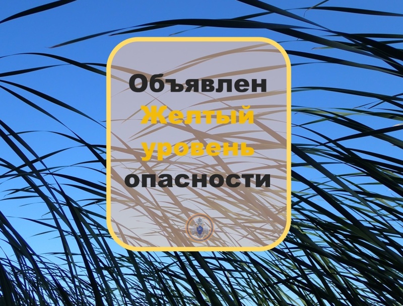 Объявлен желтый уровень опасности. Утром и днем 10.10.2024 местами в Самарской области ожидается усиление северного ветра, порывы 15-18 м/с